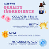 Wellix Collagen Drops for pets in a lifestyle setting