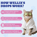 Wellix Collagen Drops packaging with pet-friendly design