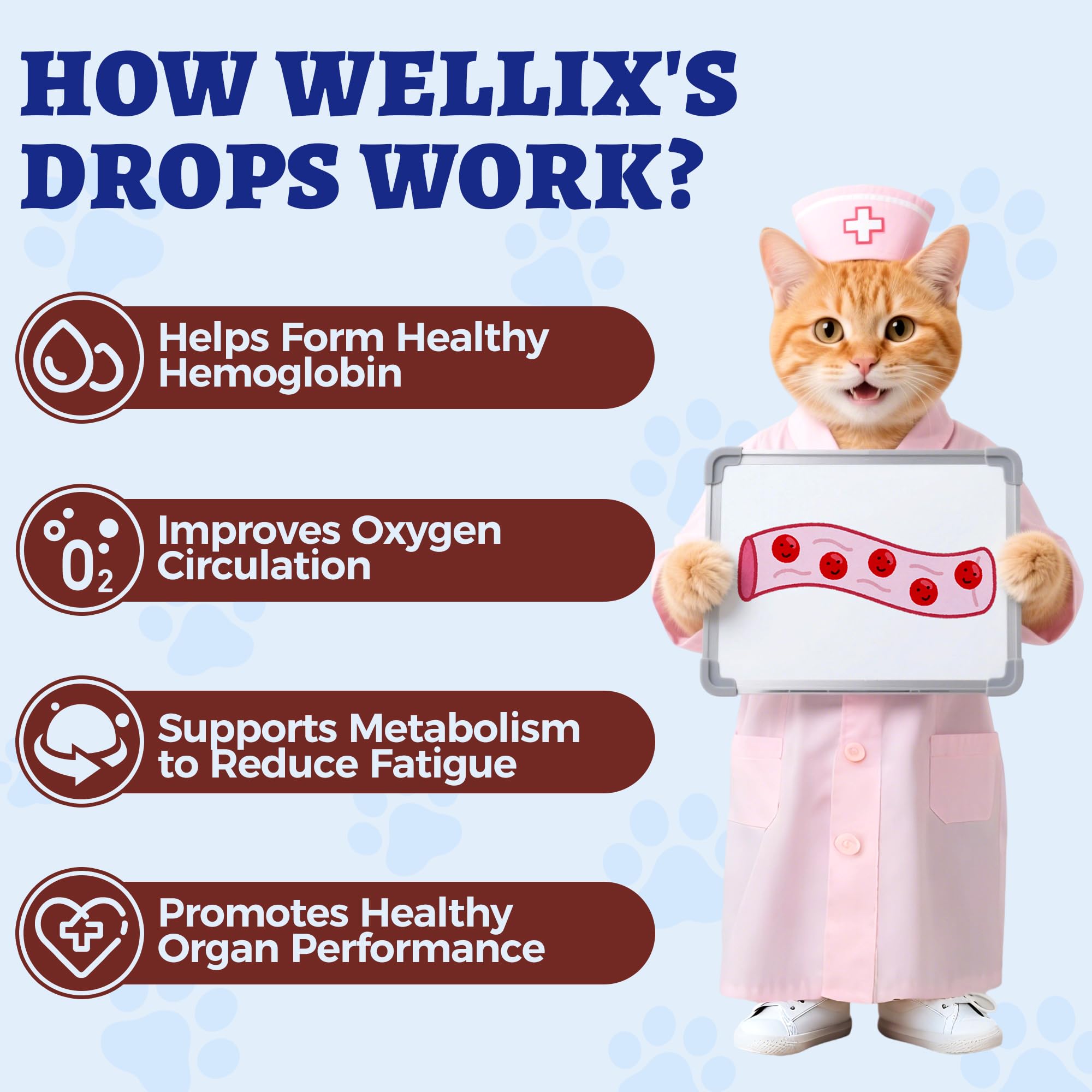 Wellix Liquid Iron Supplement for Pets 180g being administered to a dog