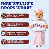 Wellix Liquid Iron Supplement for Pets 180g being administered to a dog