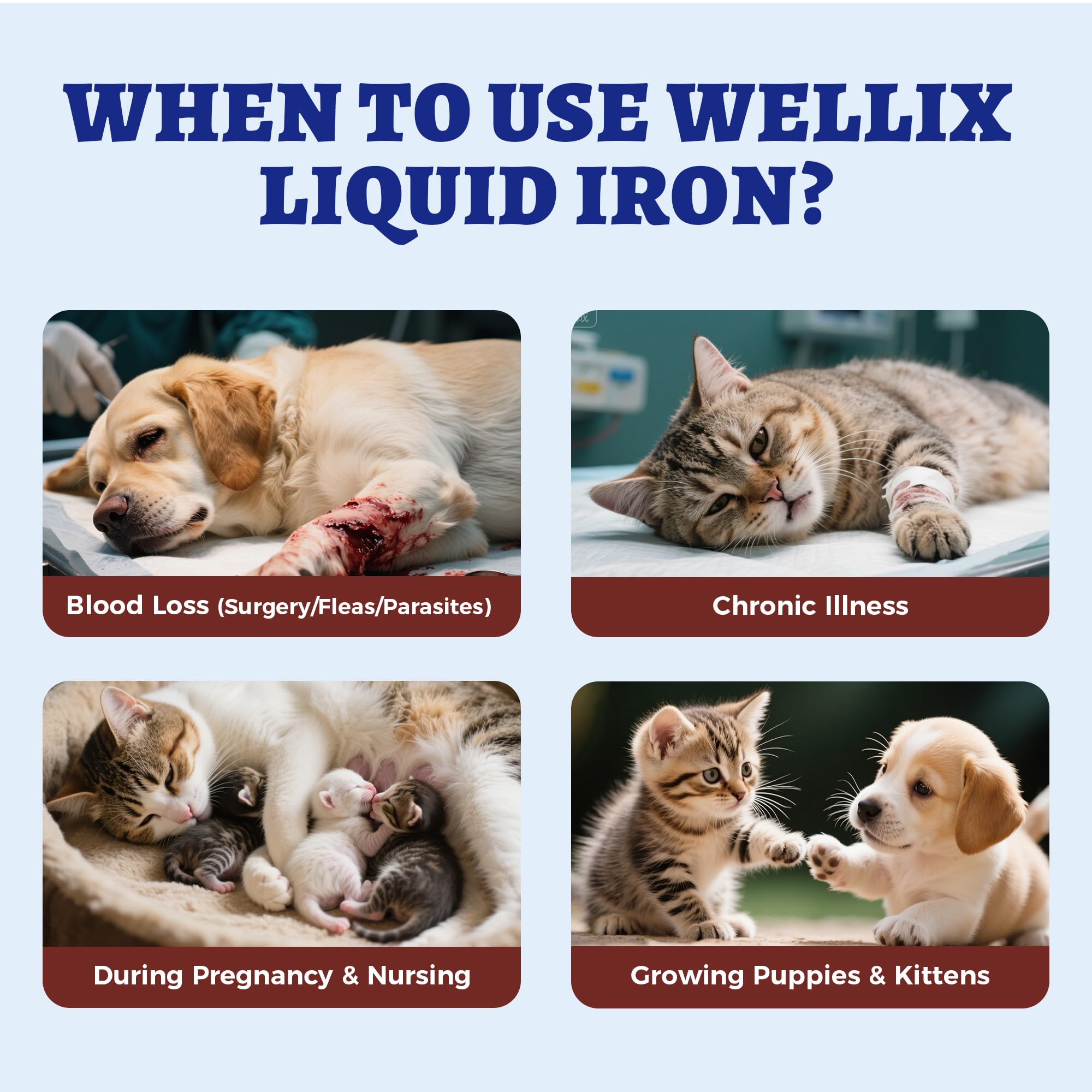 Wellix Liquid Iron Supplement for Pets 180g in a pet food bowl
