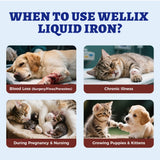 Wellix Liquid Iron Supplement for Pets 180g in a pet food bowl
