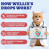 Wellix Liquid L-Lysine dosage instructions