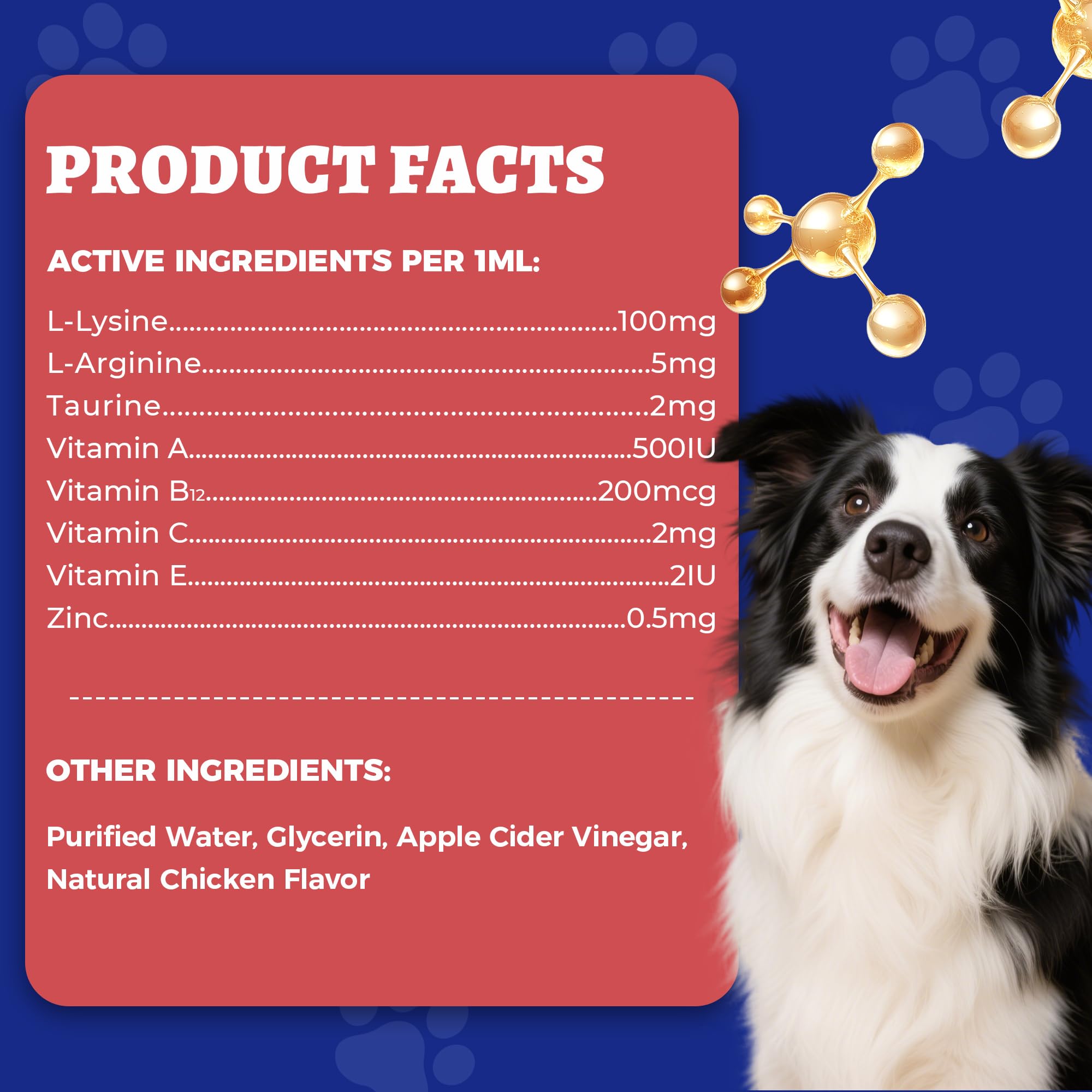 Wellix Liquid L-Lysine for pets lifestyle scene