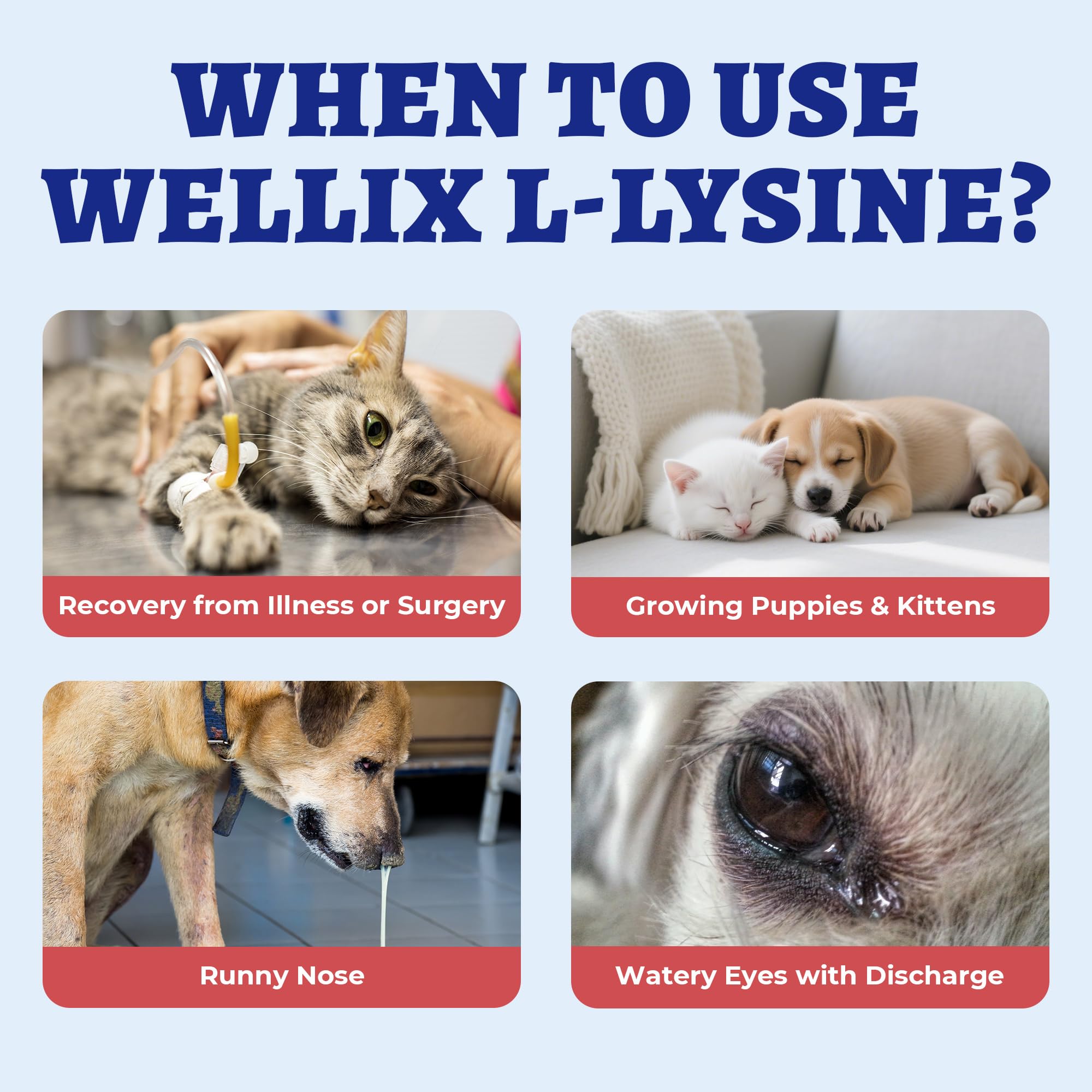 Wellix Liquid L-Lysine for pets packaging