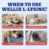 Wellix Liquid L-Lysine for pets packaging