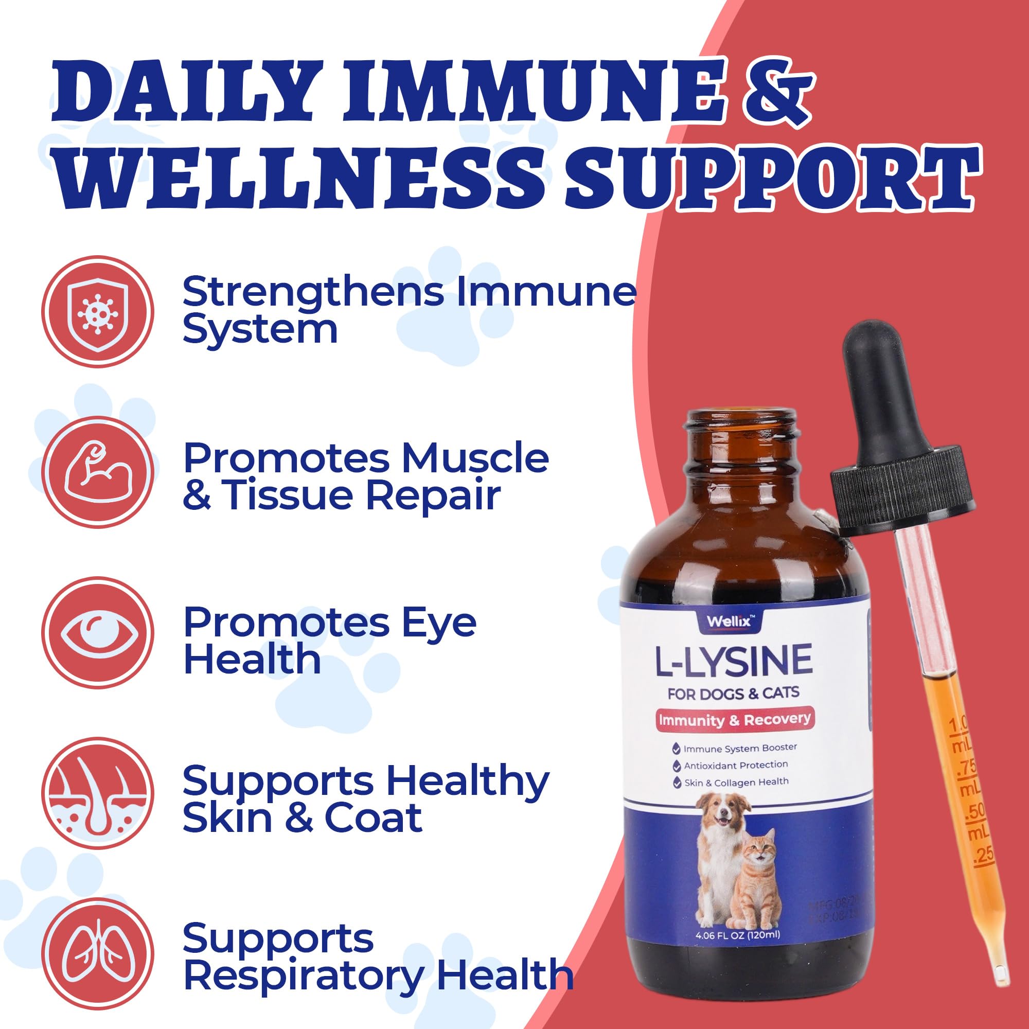 Wellix Liquid L-Lysine with chicken flavour