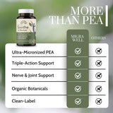 Wellkasa Soothe & Revive Herbal Supplement capsules in a bowl