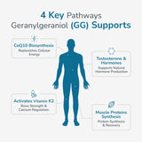 WELLNESS EXTRACT CoQ10 Supplement softgels with measuring spoon