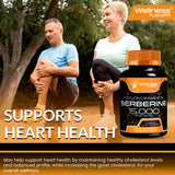 WELLNESS LABSRX Berberine 1,000mg Supplement capsule close-up