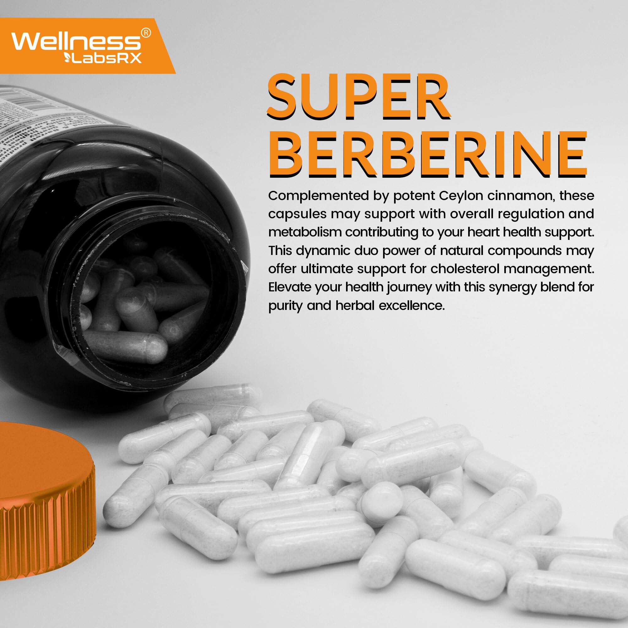 WELLNESS LABSRX Berberine 1,000mg Supplement lifestyle scene
