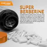 WELLNESS LABSRX Berberine 1,000mg Supplement lifestyle scene