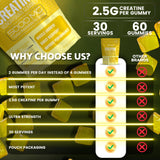 WELLNESS LABSRX Creatine Gummies displayed on a gym bench