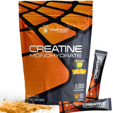 WELLNESS LABSRX Creatine Monohydrate Powder 300g Mango Surge front view