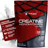 WELLNESS LABSRX Creatine Monohydrate Powder front view