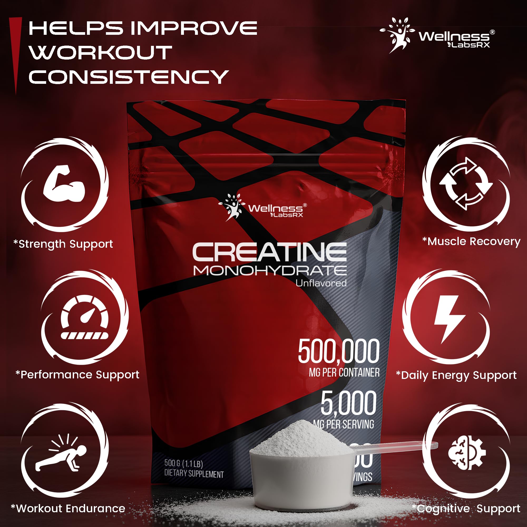 WELLNESS LABSRX Creatine Powder in a scoop