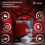 WELLNESS LABSRX Creatine Powder in a scoop