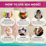 WELLNESS LABSRX Irish Sea Moss Gel 283g displayed with fresh berries