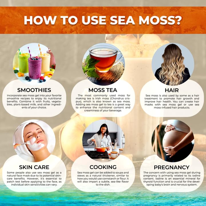 WELLNESS LABSRX Irish Sea Moss Gel 283g lifestyle scene