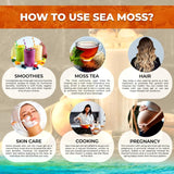 WELLNESS LABSRX Irish Sea Moss Gel 283g lifestyle scene