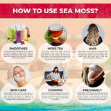 WELLNESS LABSRX Irish Sea Moss Gel 454g in a smoothie