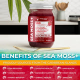WELLNESS LABSRX Irish Sea Moss Gel 454g with fresh fruits