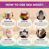 WELLNESS LABSRX Irish Sea Moss Gel in a bowl