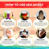 WELLNESS LABSRX Irish Sea Moss Gel in a bowl