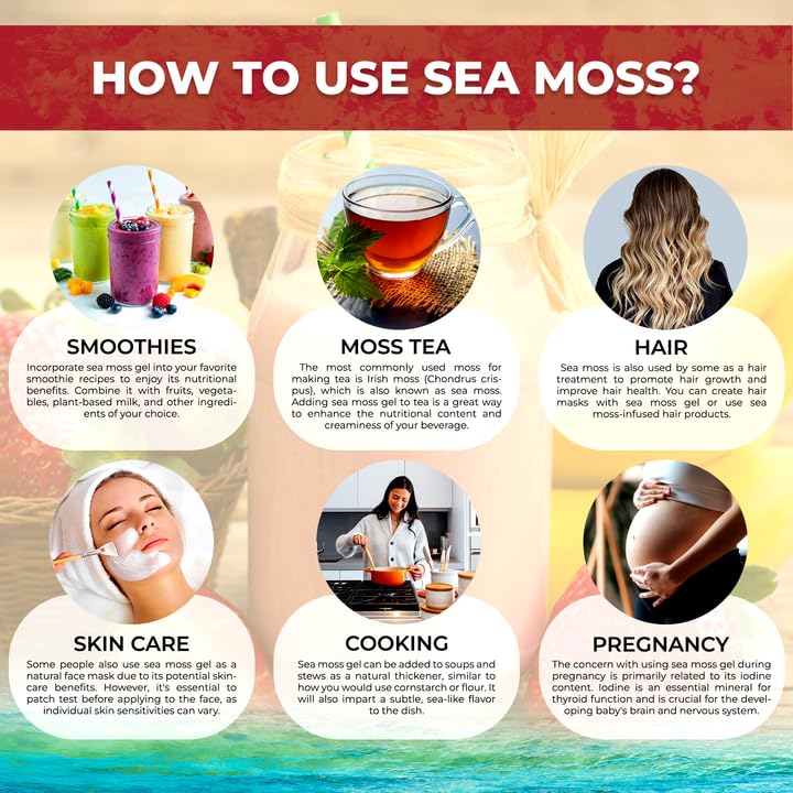 WELLNESS LABSRX Irish Sea Moss Gel nutritional information