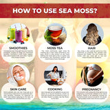 WELLNESS LABSRX Irish Sea Moss Gel nutritional information