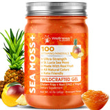WELLNESS LABSRX Irish Sea Moss Gel Pineapple Mango front view
