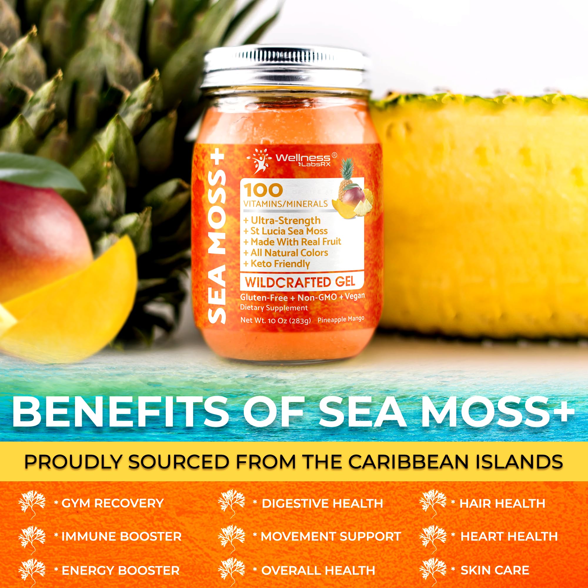 WELLNESS LABSRX Irish Sea Moss Gel Pineapple Mango in a smoothie