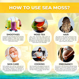 WELLNESS LABSRX Irish Sea Moss Gel Pineapple on a kitchen counter