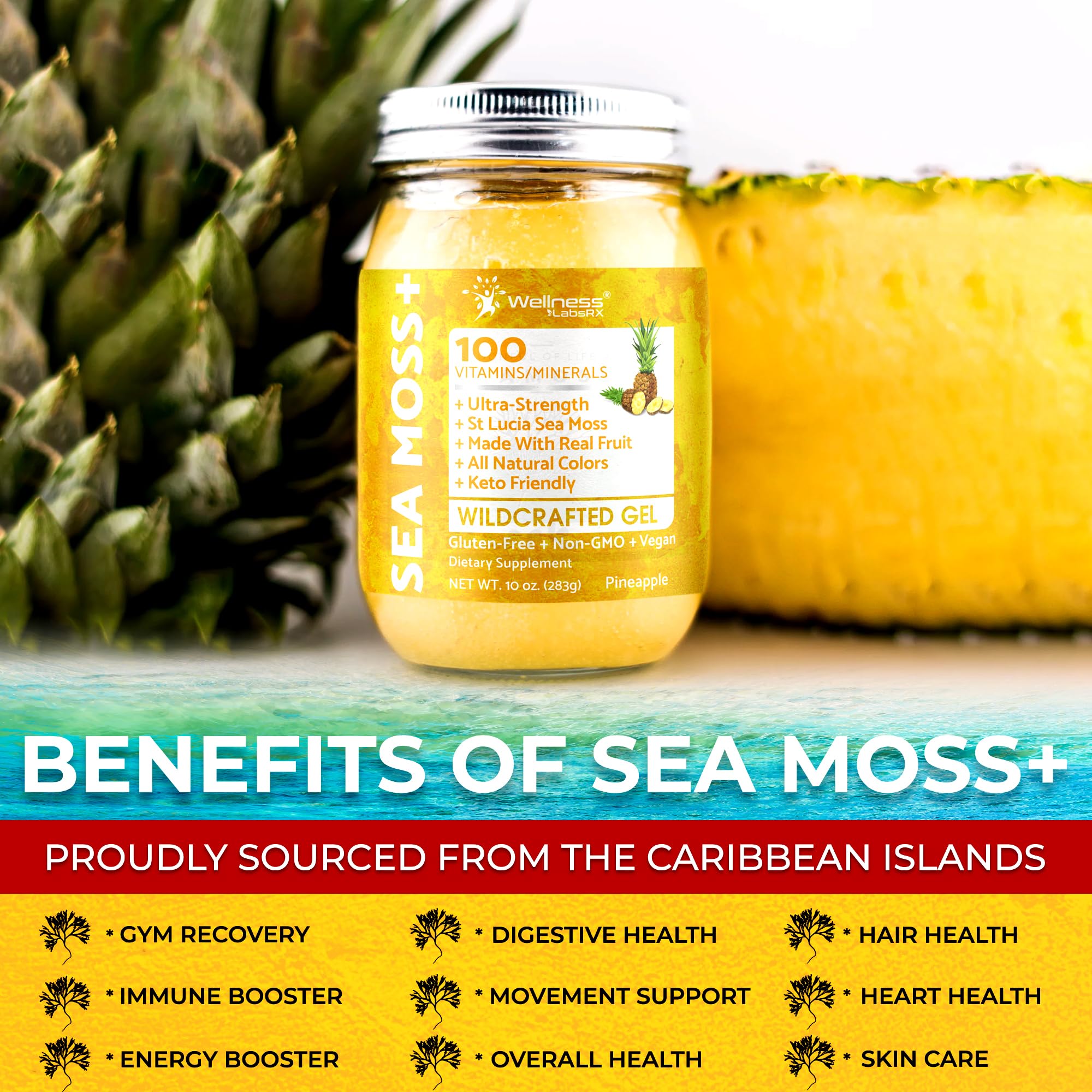 WELLNESS LABSRX Irish Sea Moss Gel Pineapple with fruits