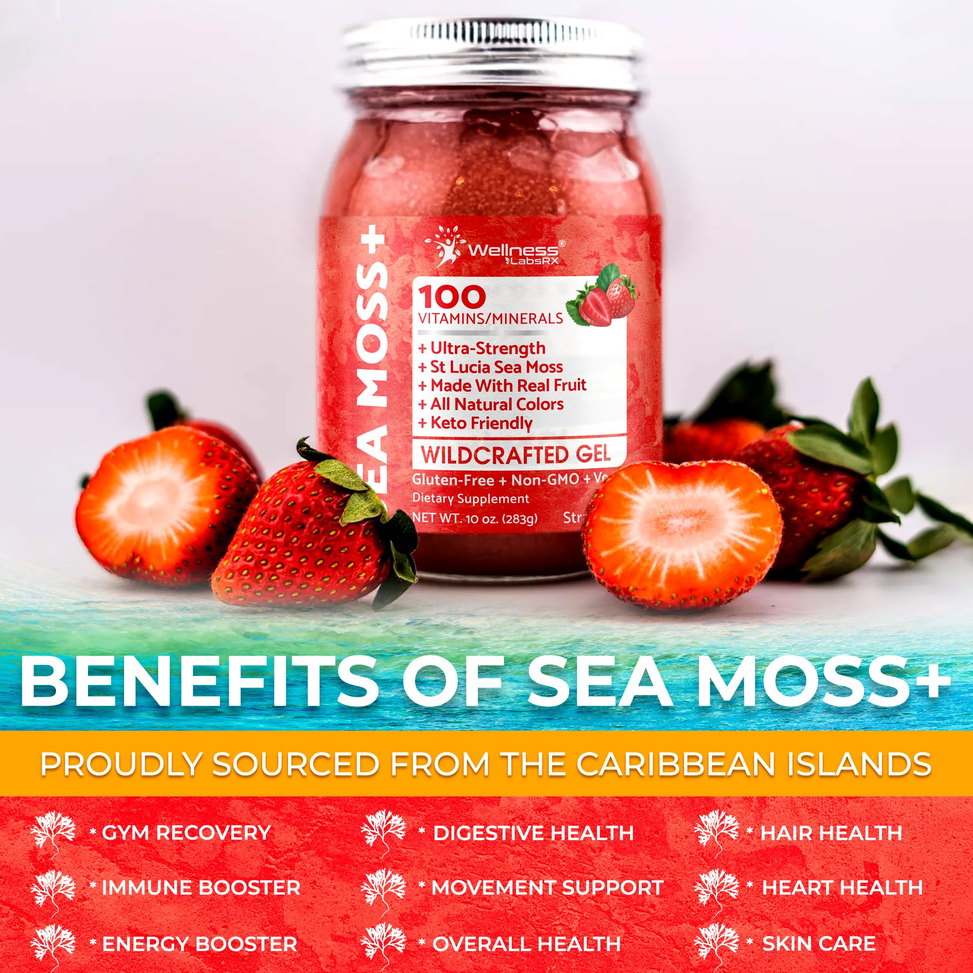 WELLNESS LABSRX Irish Sea Moss Gel texture