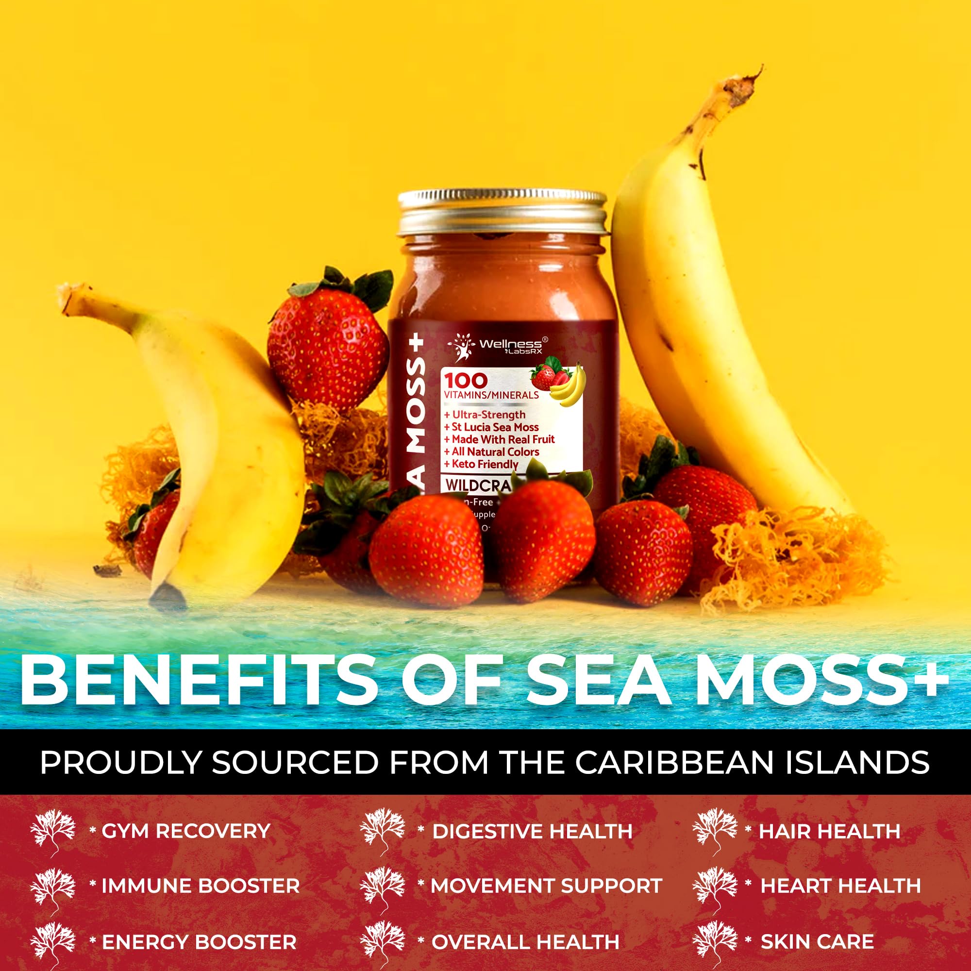 WELLNESS LABSRX Irish Sea Moss Gel with tropical background