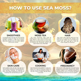 WELLNESS LABSRX Irish Sea Moss Raw Gel in a bowl