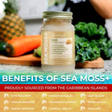 WELLNESS LABSRX Irish Sea Moss Raw Gel in a smoothie
