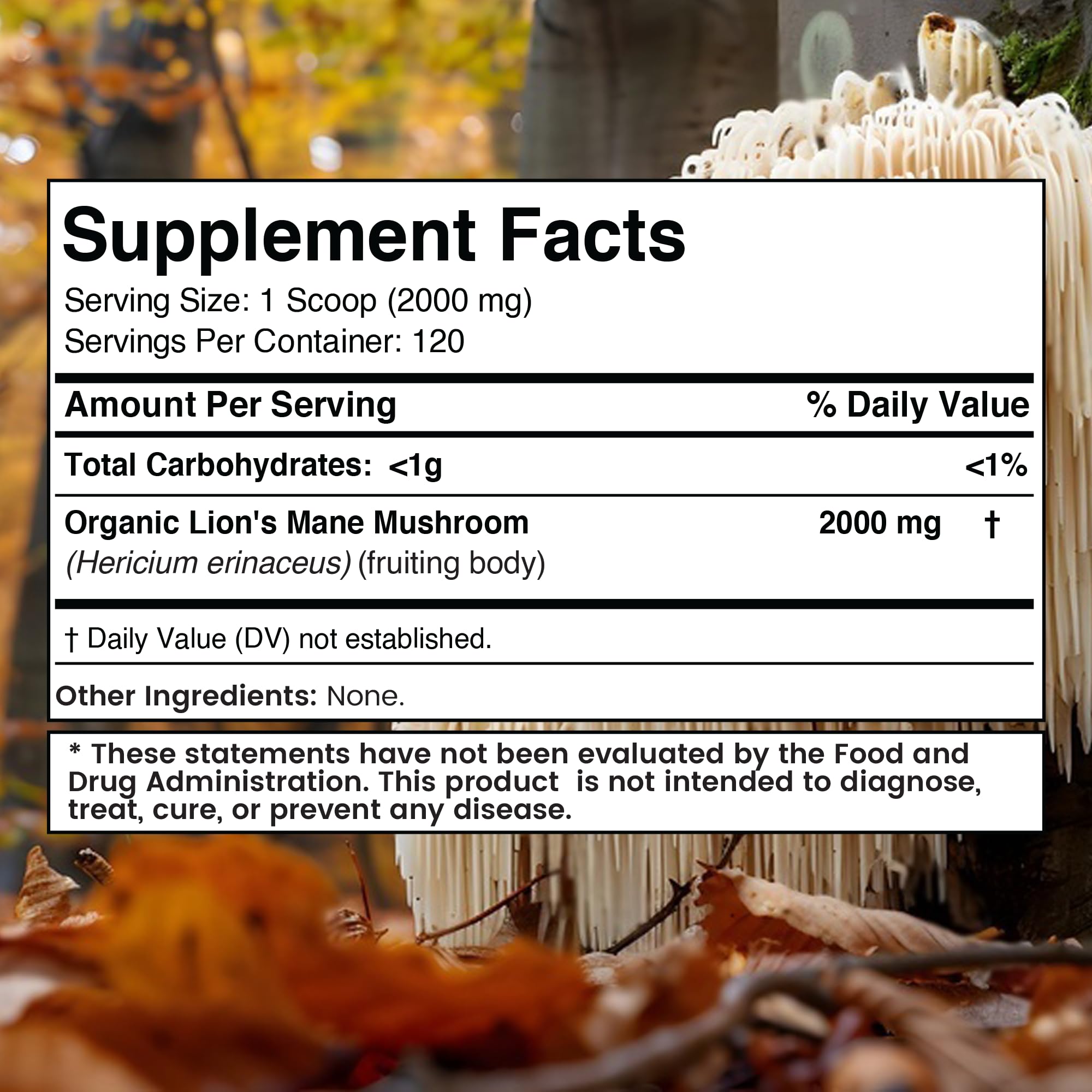 WELLNESS LABSRX Lions Mane Mushroom Powder 2000mg scoop