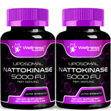 WELLNESS LABSRX Nattokinase Capsules front view with packaging