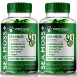 WELLNESS LABSRX Sea Moss Gummies 400g front view with mixed berry flavour