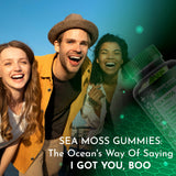 WELLNESS LABSRX Sea Moss Gummies 400g lifestyle shot with fruits