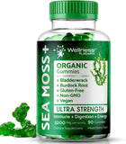 WELLNESS LABSRX Sea Moss Gummies front view packaging