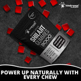 WELLNESS LABSRX Shilajit Gummies back view with ingredients