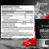 WELLNESS LABSRX Shilajit Gummies close-up of gummies