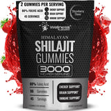 WELLNESS LABSRX Shilajit Gummies for Men front view