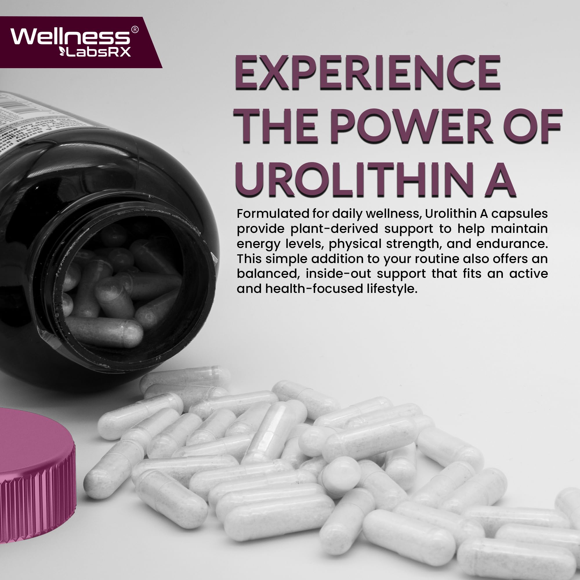 WELLNESS LABSRX Urolithin A supplement bottle back view