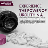 WELLNESS LABSRX Urolithin A supplement bottle back view