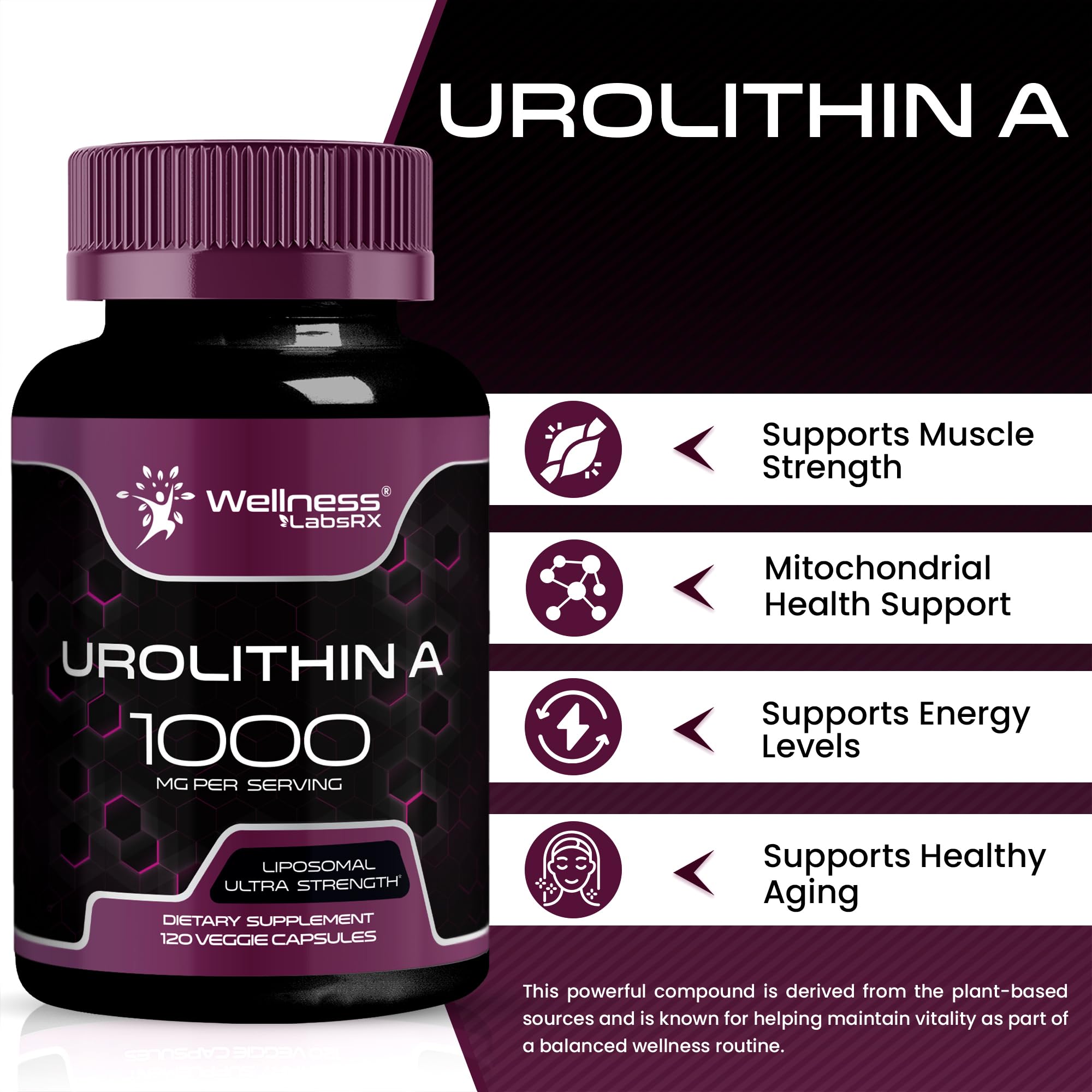 WELLNESS LABSRX Urolithin A supplement bottle side view
