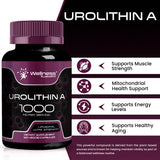 WELLNESS LABSRX Urolithin A supplement bottle side view
